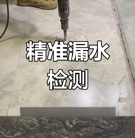 听音与仪器检测